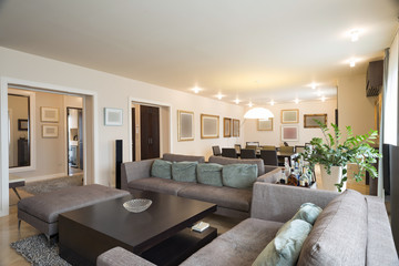 Interior of a spacious living room