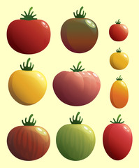 Set of healthy and delicious tomatoes. Vector illustration. 