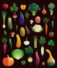 Set of healthy and delicious vegetables. Vector illustration. 