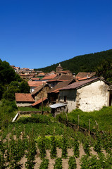 Fototapeta na wymiar Ustarroz,(Uztarroze),Pyrenees, Navarra, Spain