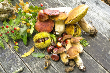 frutti di autunno