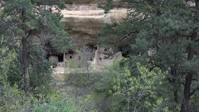 Mesa Verde Spruce Tree Indian Cliff Dwelling 4K 072