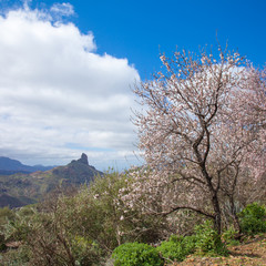 Gran Canaria, Caldera de Tejeda