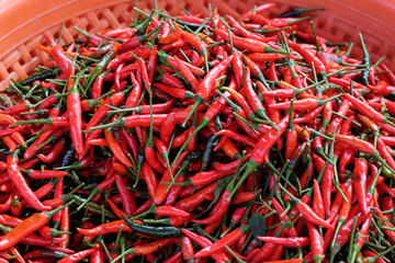Naklejka premium Red chili peppers