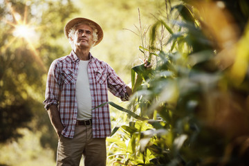 Farmer in the field