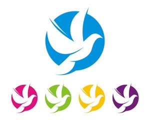 dove pigeon bird logo design