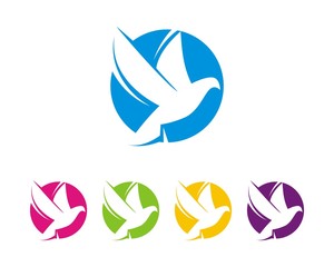 dove pigeon bird logo design