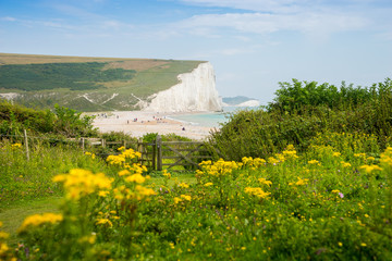 Cottages & 7 Seven Sisters, Brighton, England