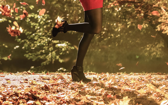 Autumn fashion. Female legs in black pantyhose outdoor