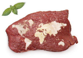 Roast beef meat and fat shaped as the world.(series)