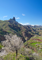 Gran Canaria, Caldera de Tejeda