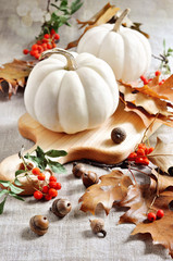 Pumpkins. Gourds. Autumn decoration. Thanksgiving. Selective focus on foreground.