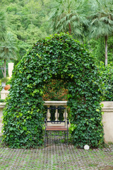 Fototapeta na wymiar beautiful green arch with decorative tree at the hotel.