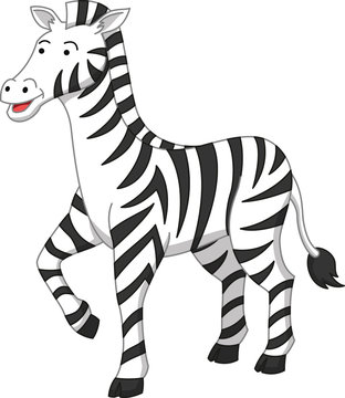 Zebra cartoon illustration