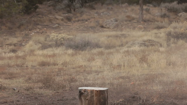 Pumpkin destroyed explosion dynamite reverse HD 0614