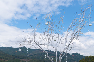 dry tree branch painted white with bright decorations and candles hung blue sky background