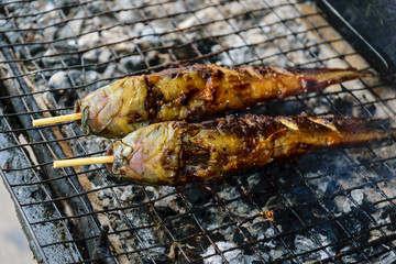 Grilled fish on the barbecue