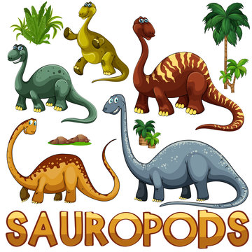 Different color of sauropods
