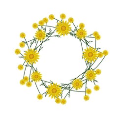 Beautiful Yellow Daisy Wreath on White Background