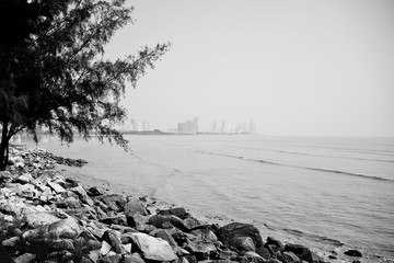 The rocky beach during low tide