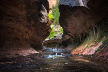 Subway Zion National Park