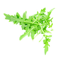 Green Fresh Arugula on White Background