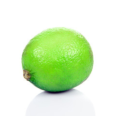 Fresh Green Lime on White Background