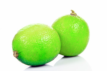 Fresh Green Lime on White Background