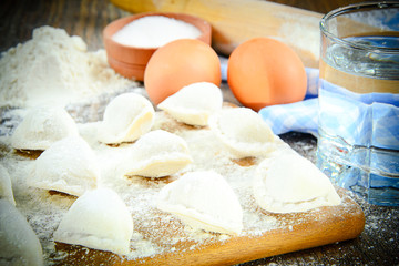Raw Homemade dumplings, Russian Pelmeni
