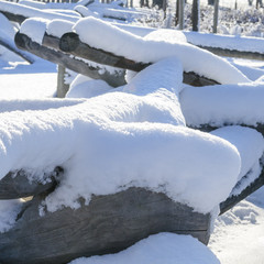 verschneites Durcheinander von Holzstämmen im Park