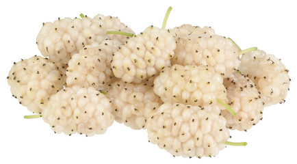 Mulberry fruits isolated on white background without shadows