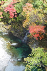 Obraz premium みたらい渓谷