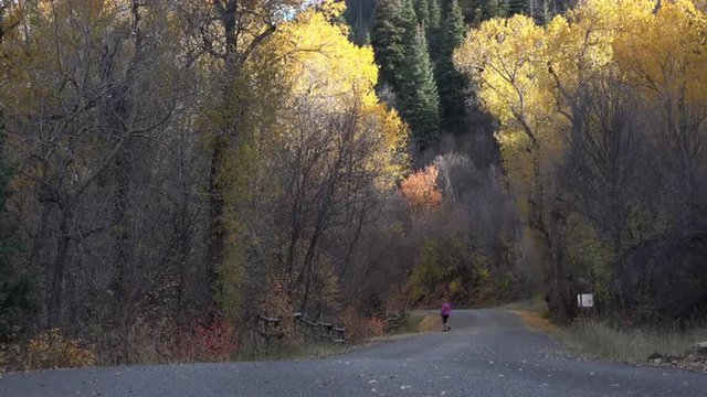 Woman enjoys autumn mountain road 4K 056