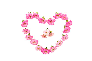 delicate pink flowers