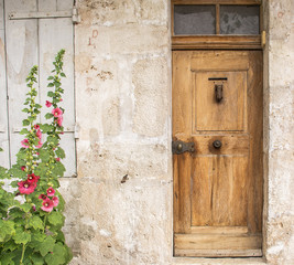 Old door and mallow