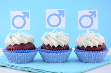 International Mens Day Cupcakes with Male Symbols.