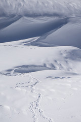 Obraz premium Human footprints in snow