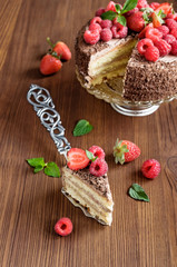 Piece of chocolate cake with fresh berries