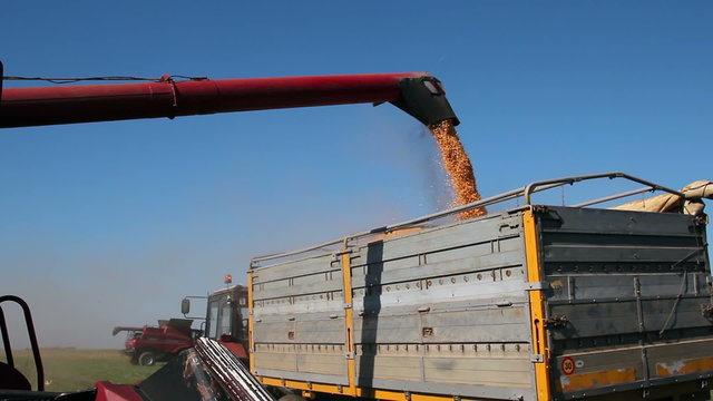Combine Harvester Transferring Corn to Grain Trailer