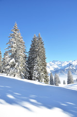 Braunwald, Switzerland