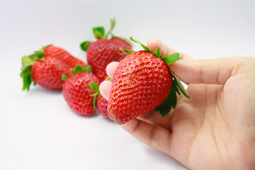 hand holding fresh strawberries