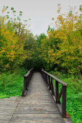 Fototapeta premium Wooden bridge in the autumn forest