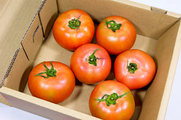 ケースに入った6個の日本産トマト