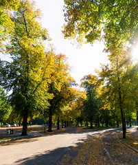 Naklejka premium Herbst