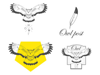 Logo owl vector illustration design