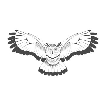 Wild owl emblem black and white vector