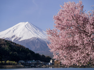 The sacred mountain - Mt. Fuji at Japan