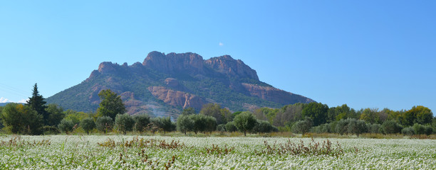 Rocher de Roquebrune, massif des Maures