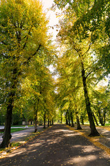 Naklejka premium Herbst