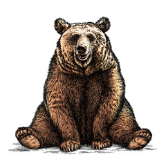 engrave bear illustration